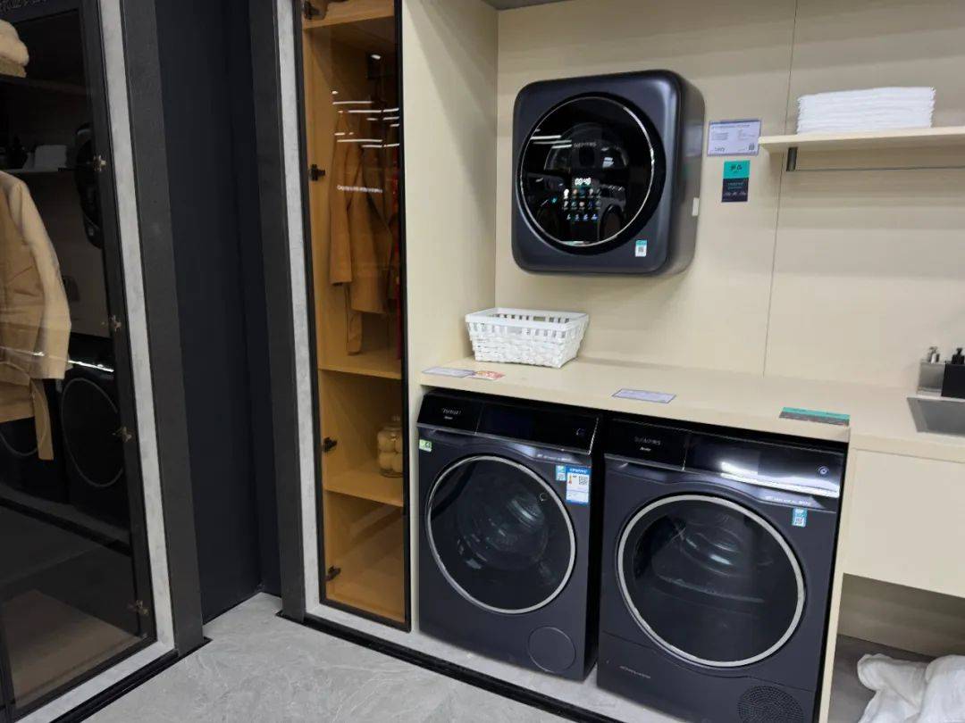 机产业：2025年的新发展与新机遇龙8l
